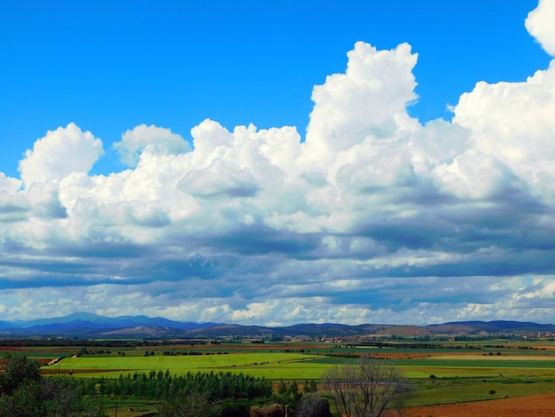 青空と雲のある畑