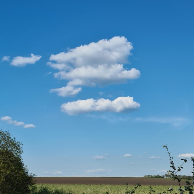 A field with a blue sky and a few clouds