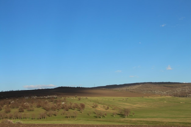 a field with a blue sky and a field with a plane flying in the sky