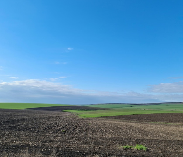 A field with a blue sky and a green field with a field in the foreground.