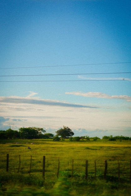 A field with a blue sky and a green field with a white cloud