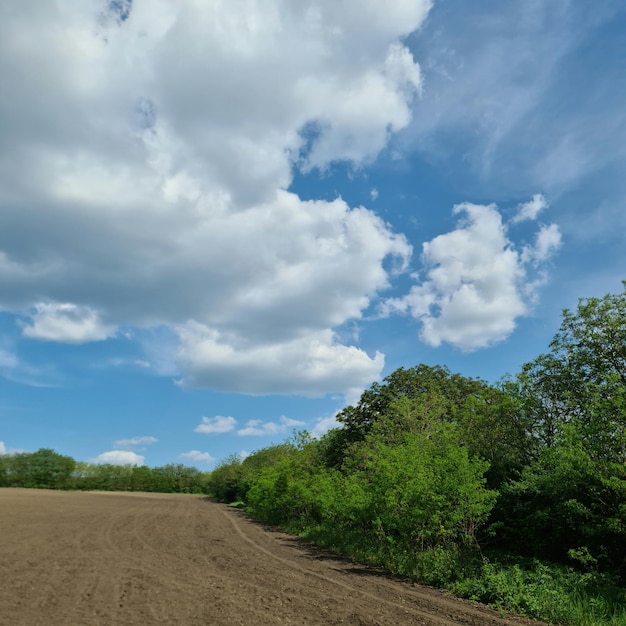 A field with a blue sky and some trees and a field with a few clouds