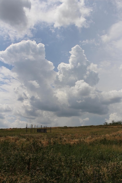 Photo a field with clouds in the sky