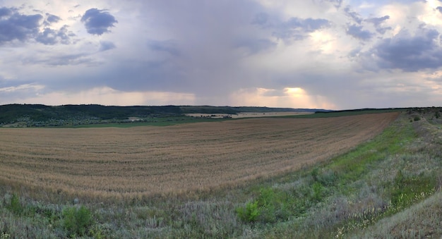 A field with a cloudy sky in the background