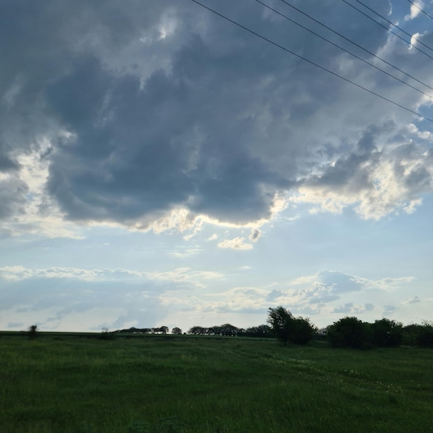 A field with a cloudy sky and a tree in the foreground.