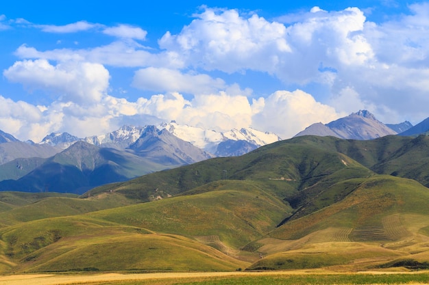 A field with ears of bread against the backdrop of high mountains Agriculture farming Beautiful mountain landscape Kyrgyzstan