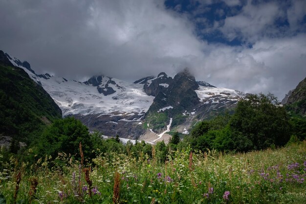 Field with flowering plants herbs and flowers on Dombai