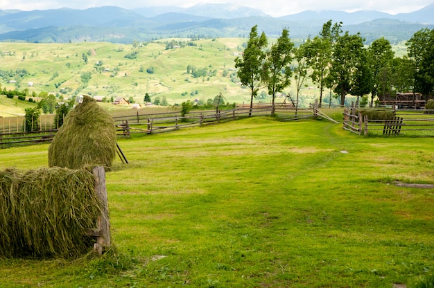 Field with haytack on mountains