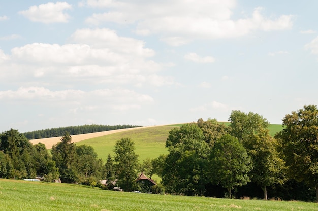 A field with a hill in the background