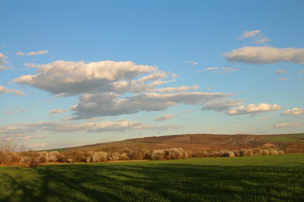 Photo a field with a hill and a bird flying in the sky