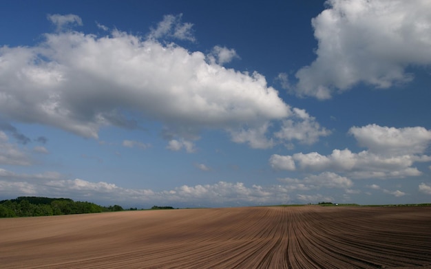 a field with a large field with a large cloud in the sky