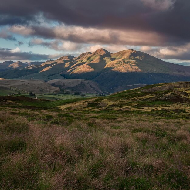 a field with a mountain in the background and a cloudy sky