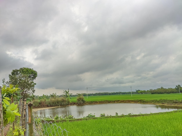 A field with a pond and a cloudy sky