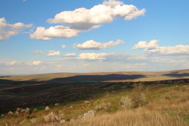 a field with a sky that has clouds in it