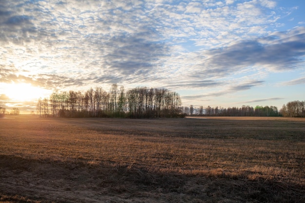 A field with a sunset in the background