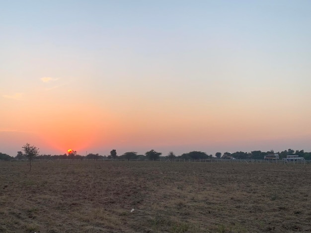 Foto un campo con un tramonto e qualche albero