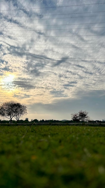 Photo a field with trees and a sky with clouds and trees