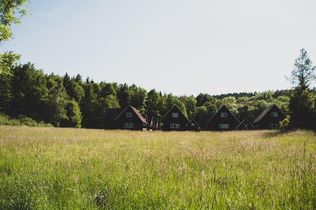 A field of wooden houses in the forest