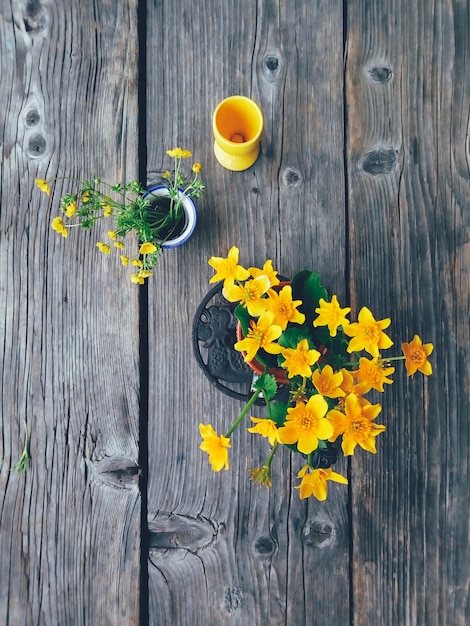 カラフルな花瓶のフィールド黄色の花