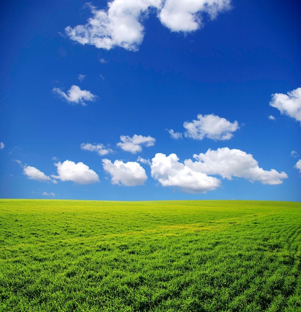 Premium Photo Field Premium Photo Field