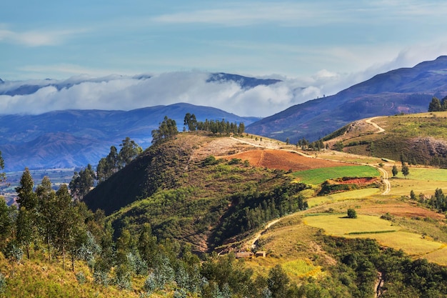 Fields in Bolivia