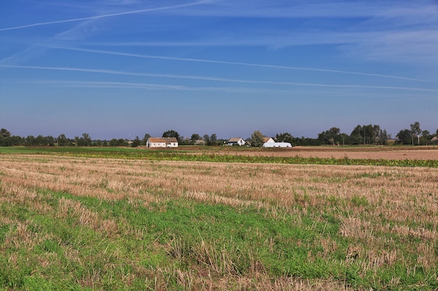 Fields and forests of Poland