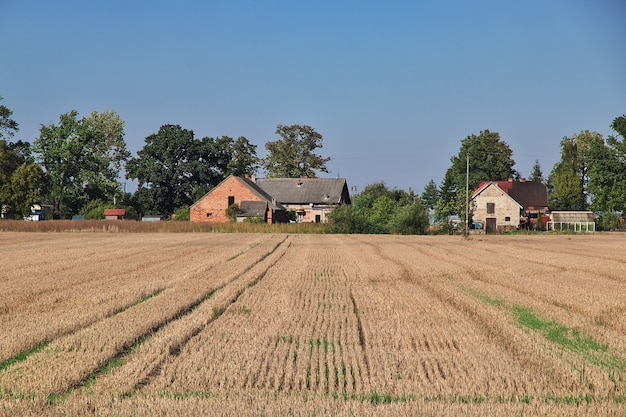 Foto campi e foreste della polonia