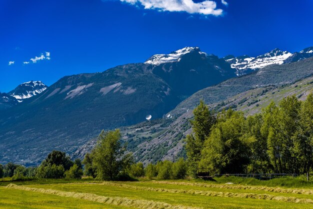 Fields and meadows with Swiss Alps mountains Agarn Leuk Visp