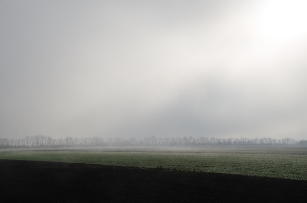 畑と強い霧