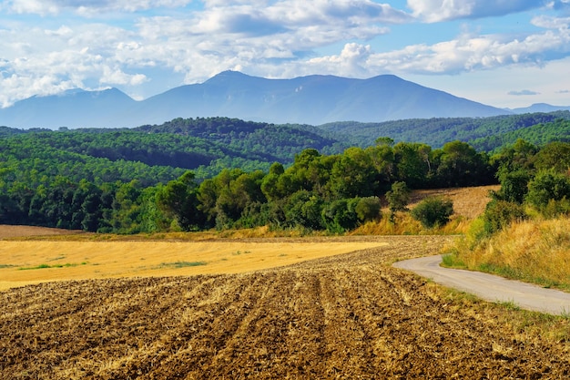 Fields with mountains at the bottom of the sky with clouds at sunset on a summer day