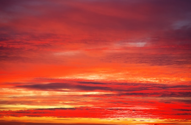 燃えるようなオレンジ色の夕焼け空。終末論的な夕焼け空