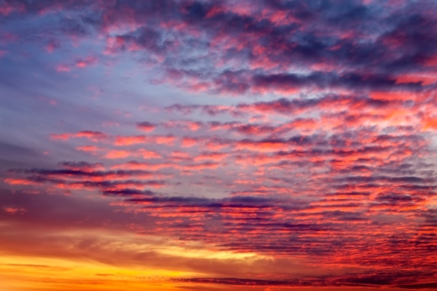 燃えるようなオレンジ色の夕焼け空。美しい空。日没時に空に動いている雲