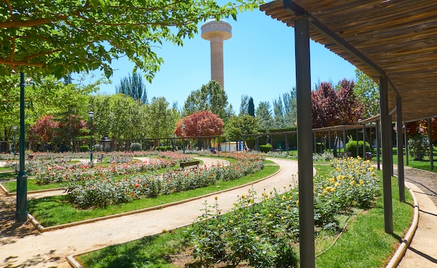 Fiesta del Arbol park in Albacete Spain