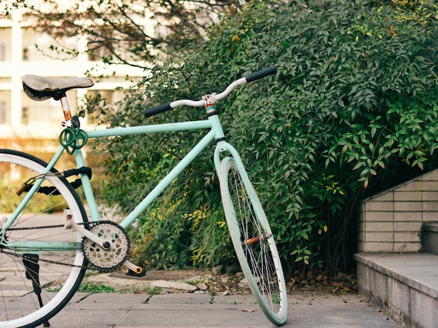 Fiets aan boom