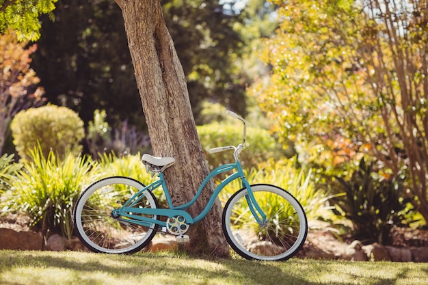 Fiets geparkeerd in een park