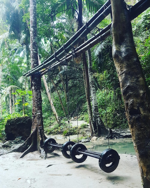 Fiets hangt aan een boomstam in het bos.