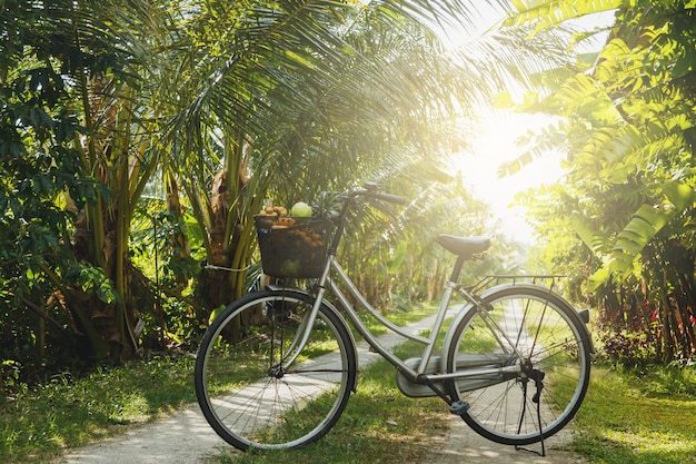 Fiets in de rustieke tropische fruittuin