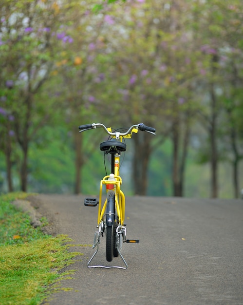 Fiets in de tuinweg