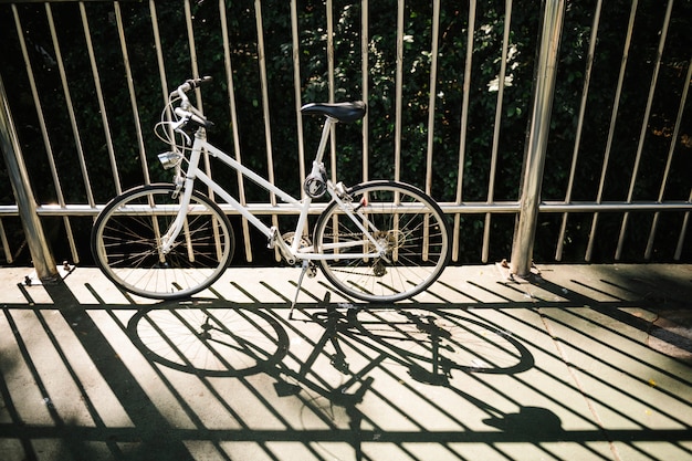 Fiets in een parkweg