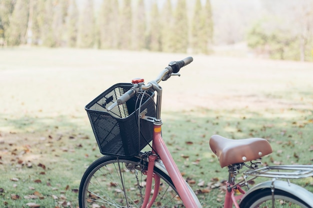 Foto fiets in het park. vintage toon.