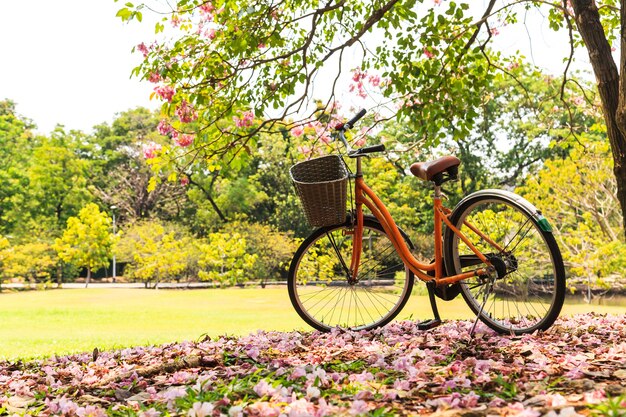 Fiets in prachtig park