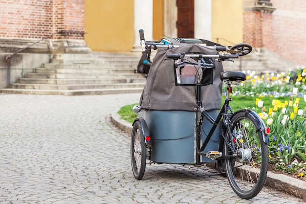 Fiets met fietskar voor kinderen en baby's rijden in het park Family Bicycle Weekend