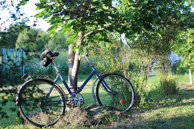 Fiets op het platteland