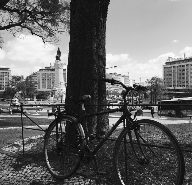 Fietsen geparkeerd bij een boom in de stad