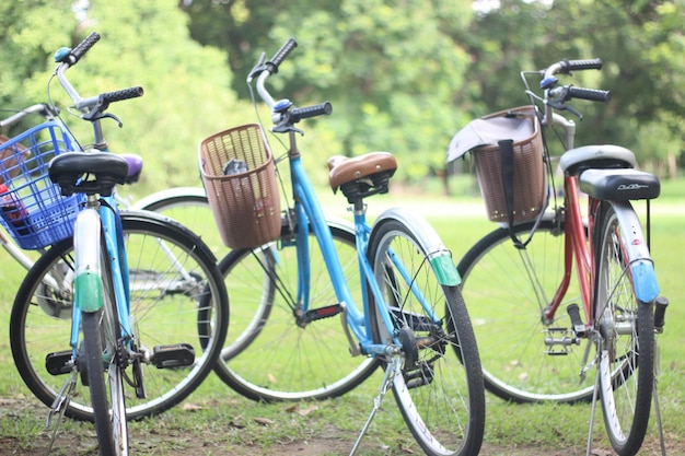 Foto fietsen geparkeerd in een rij op het veld