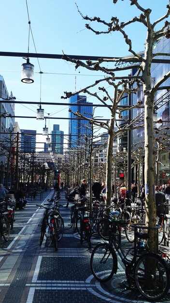 Fietsen geparkeerd op Zeil Street.