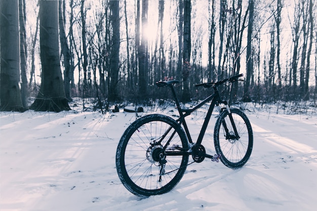 Fietsen in de winter. In het bos