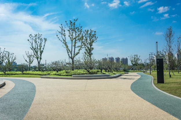 Fietsen wandelpad weg weg in het zomerpark