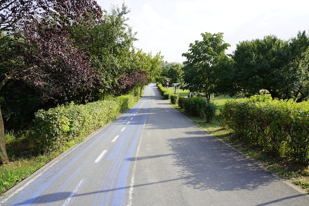 Fietspad fietspad in park heuvelafwaarts