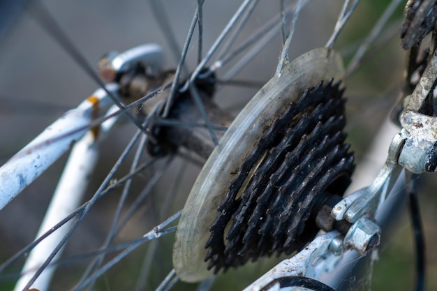 Fietssterren van een achterwiel Fietsreparatie en onderhoud Schakelsterren